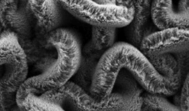 行业新闻：可拉伸的超等电容器，为柔性可穿戴设备铺路